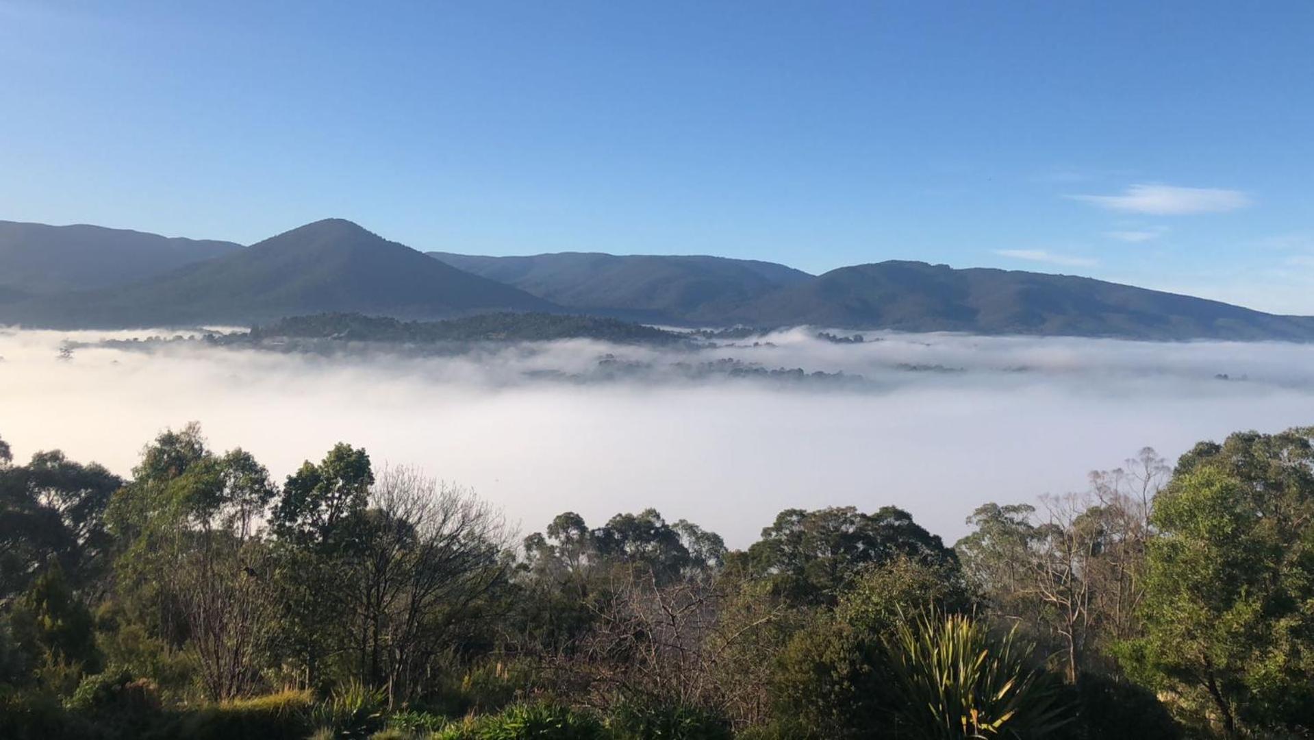 Beauty Of Healesville Luaran gambar